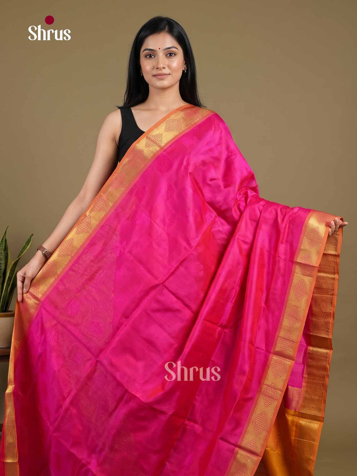 Silk Cotton Saree - EI01028