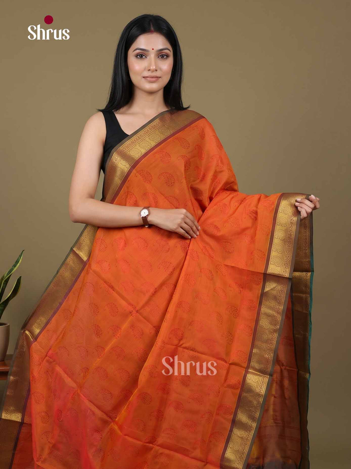 Silk Cotton Saree - EI01032