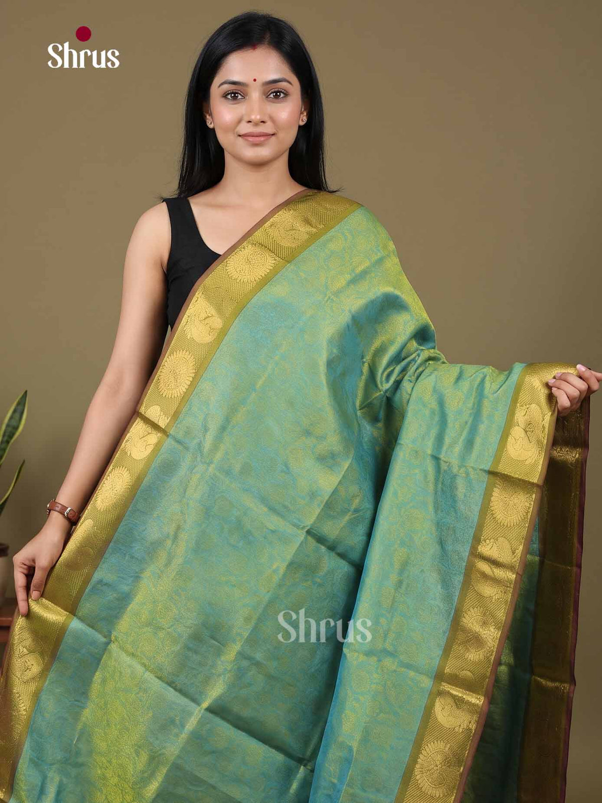 Silk Cotton Saree - EI01035