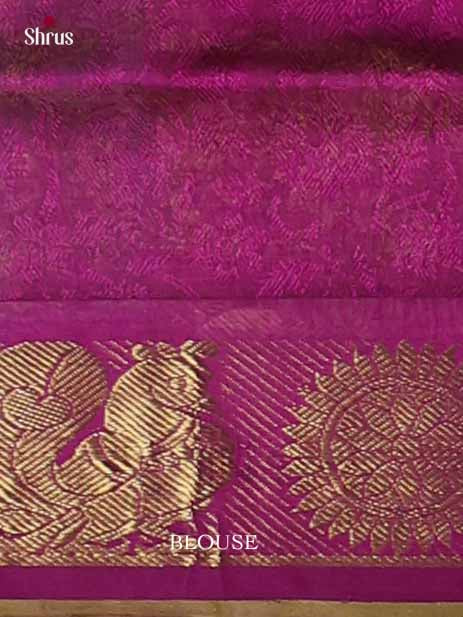 Silk Cotton Saree - EI01035