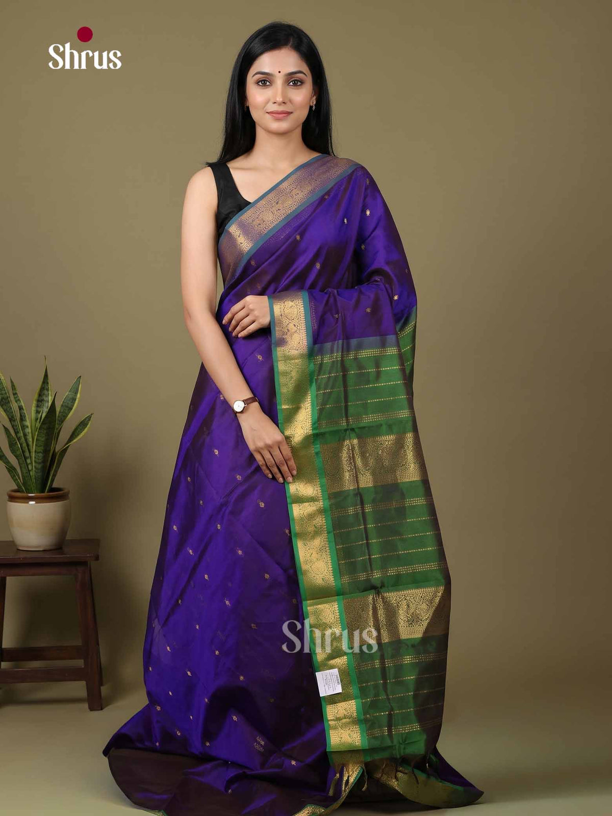 Silk Cotton Saree - EI01041