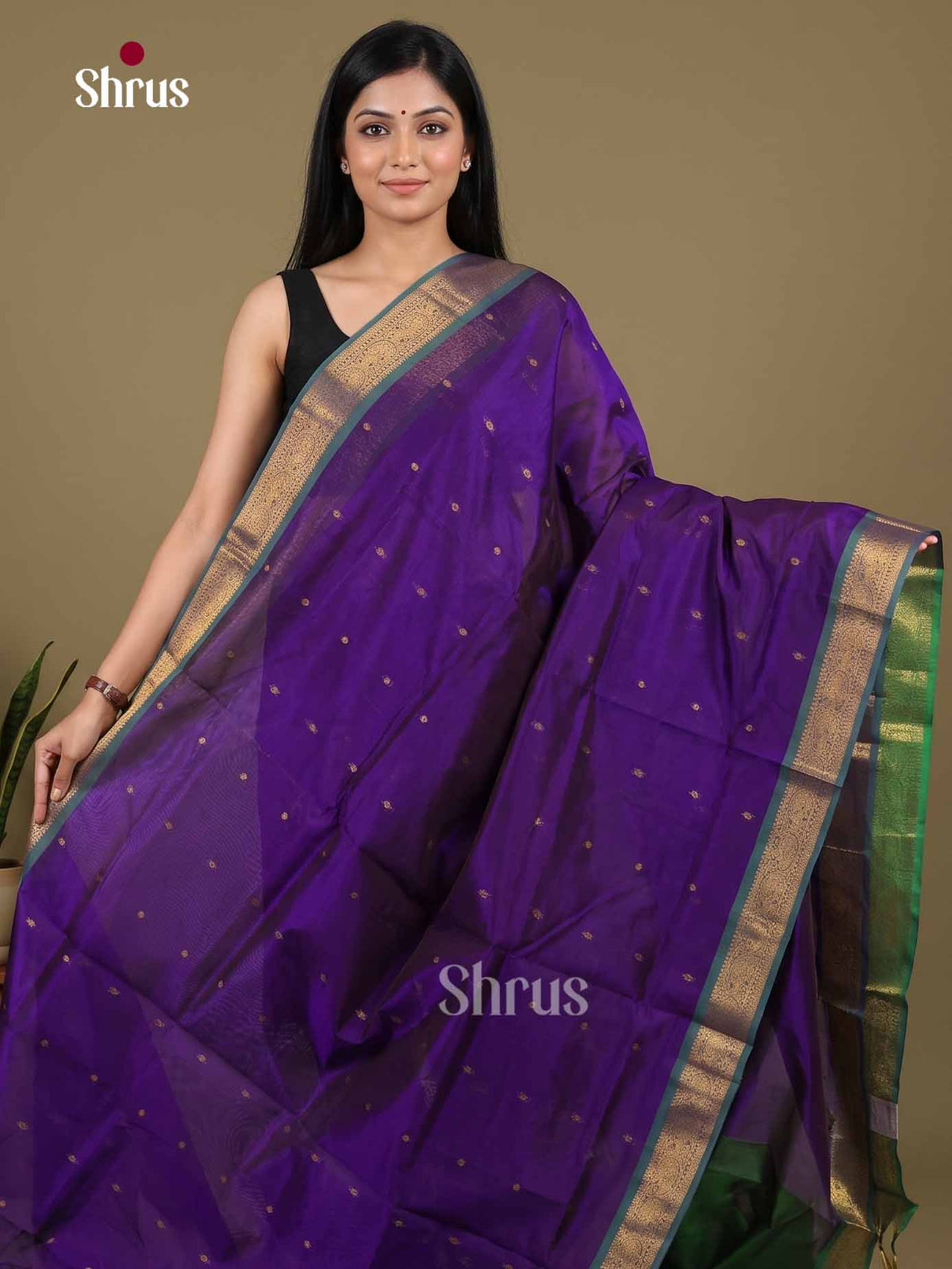 Silk Cotton Saree - EI01041