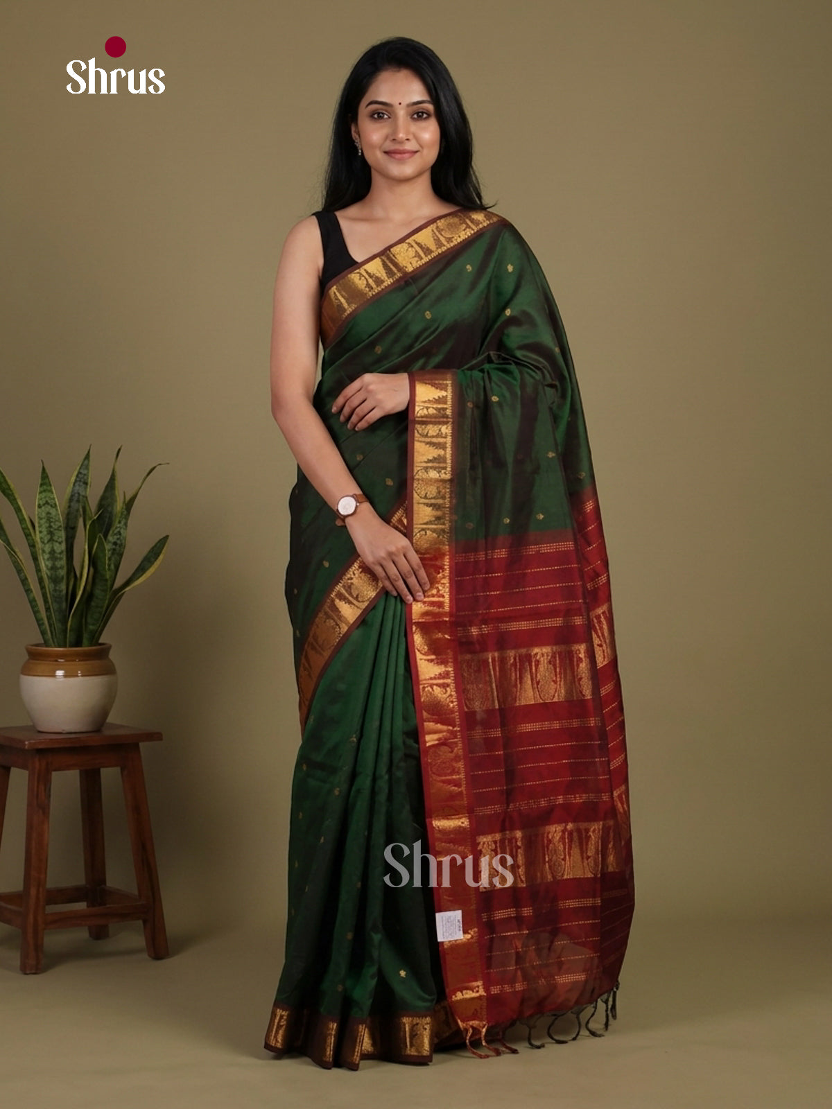 Silk Cotton Saree - EI01050