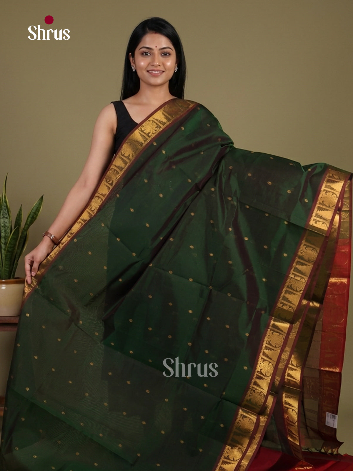 Silk Cotton Saree - EI01050
