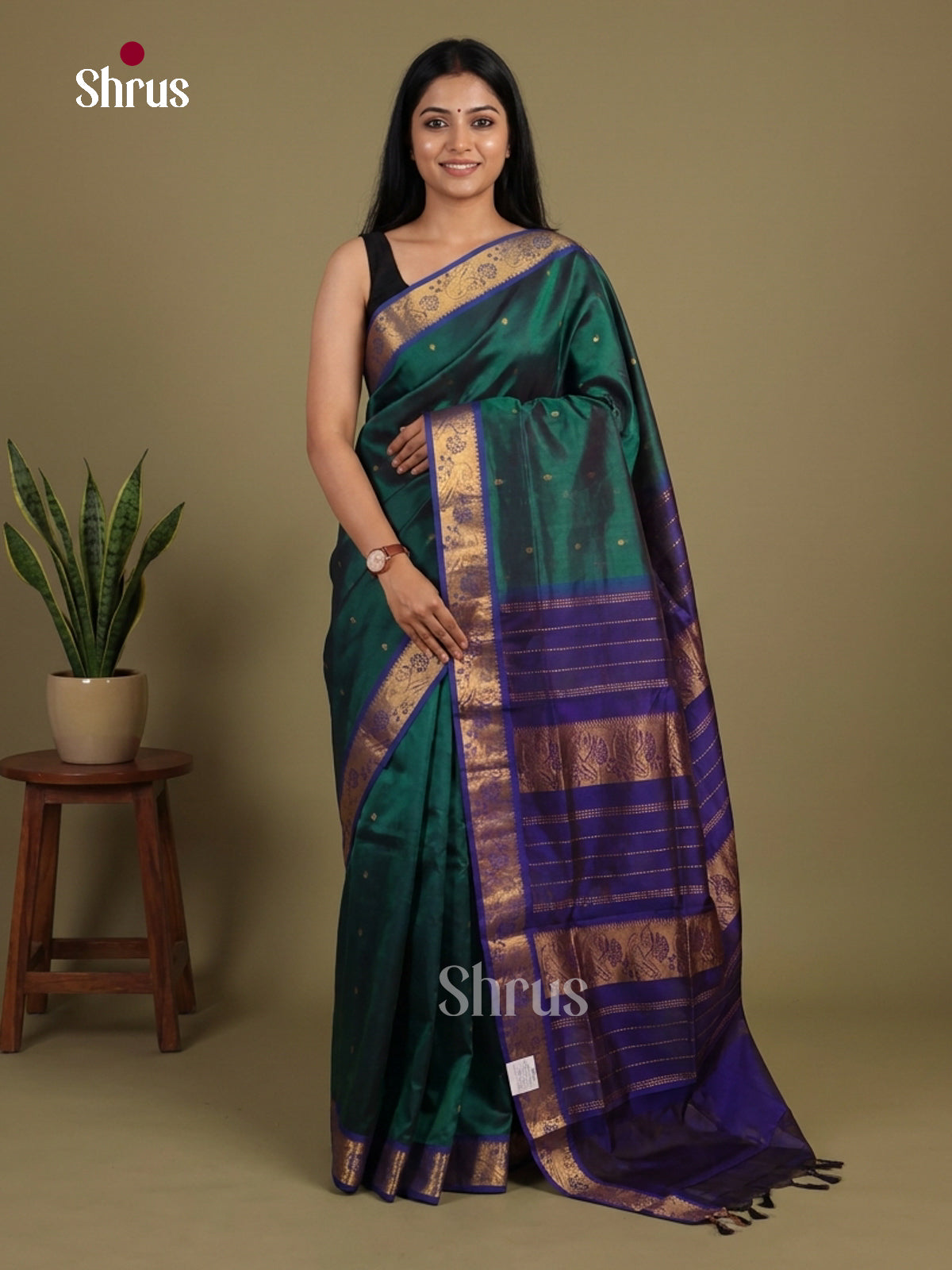 Silk Cotton Saree - EI01054
