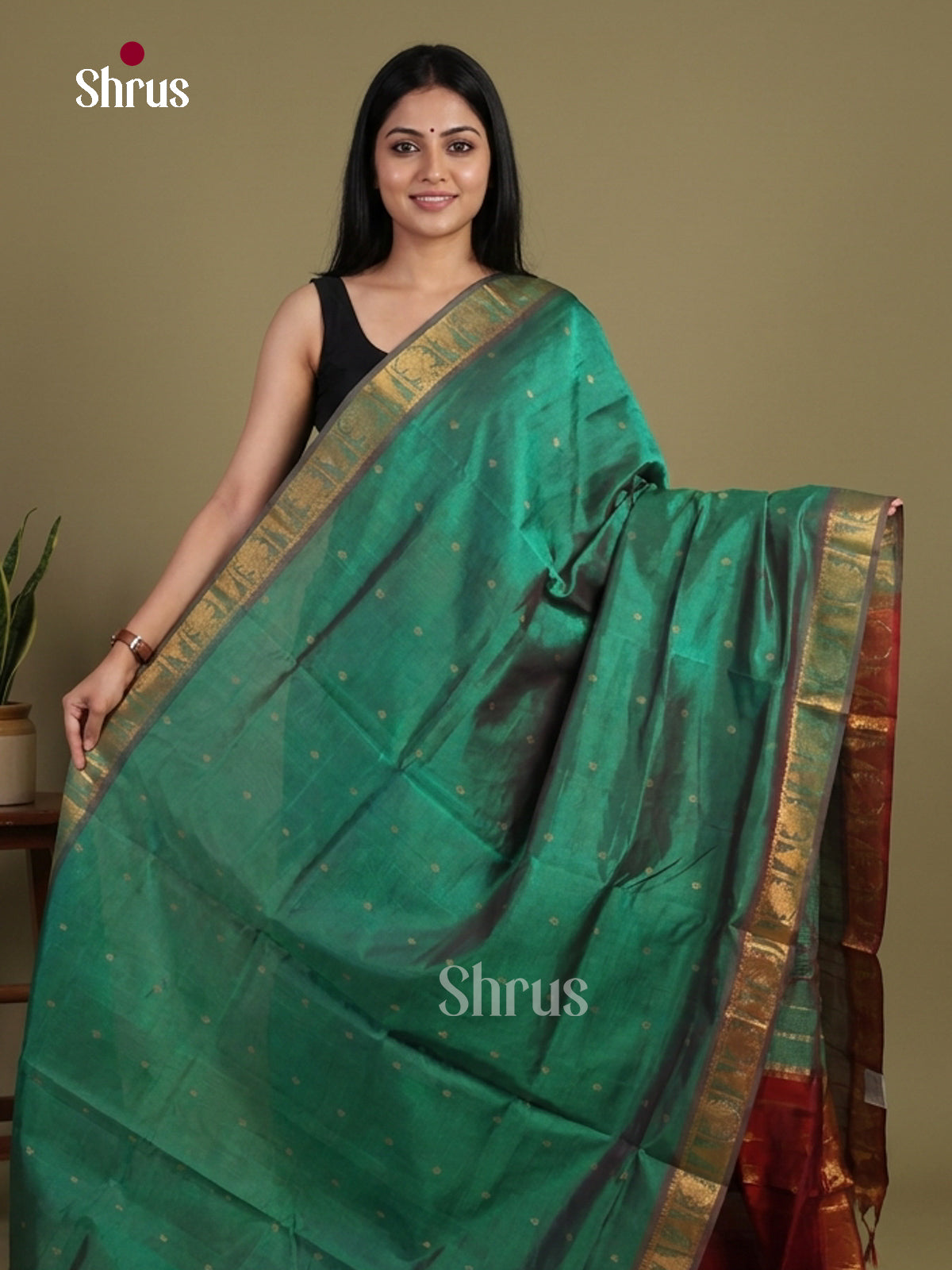 Silk Cotton Saree - EI01055