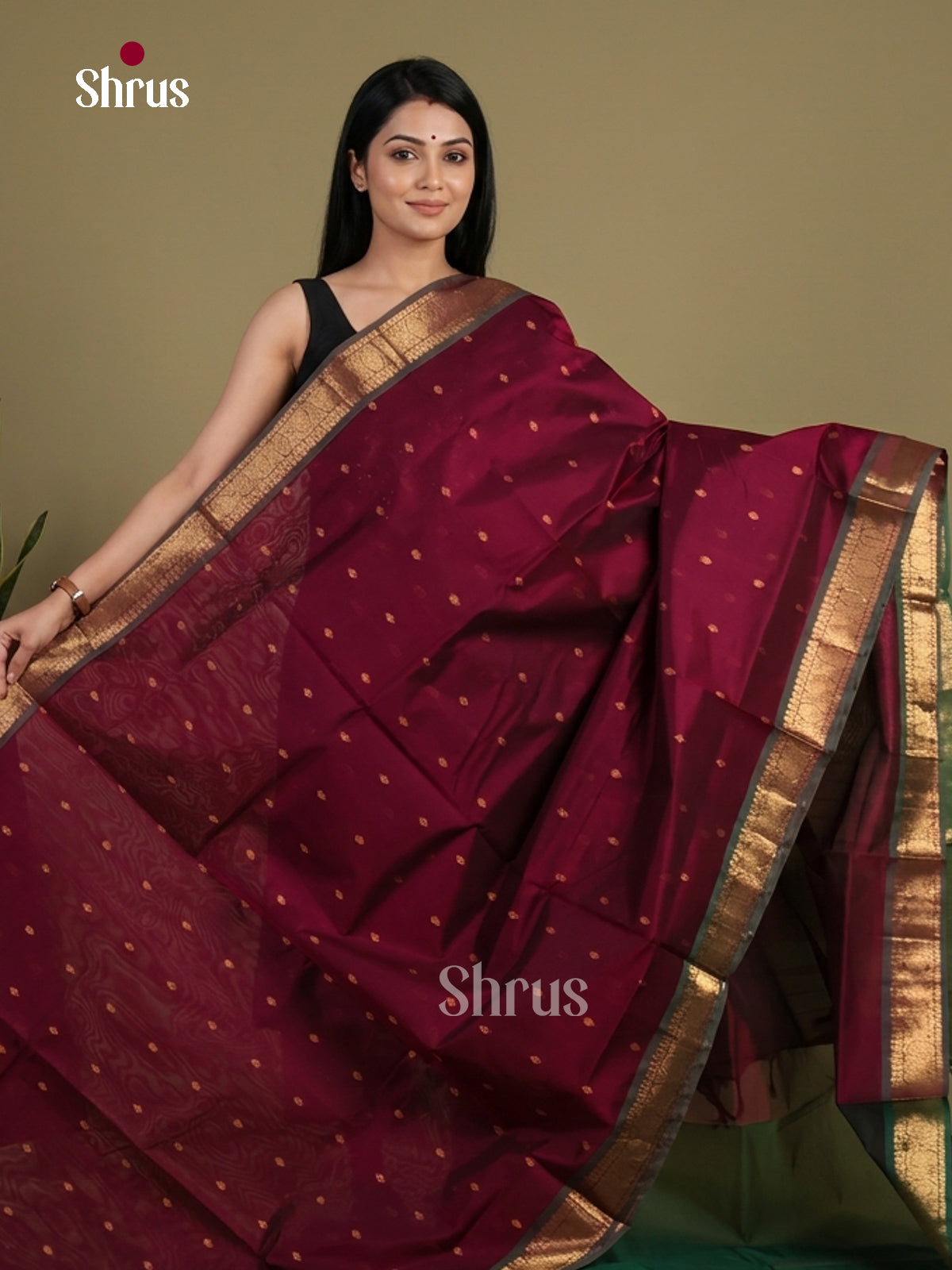 Silk Cotton Saree - EI01056