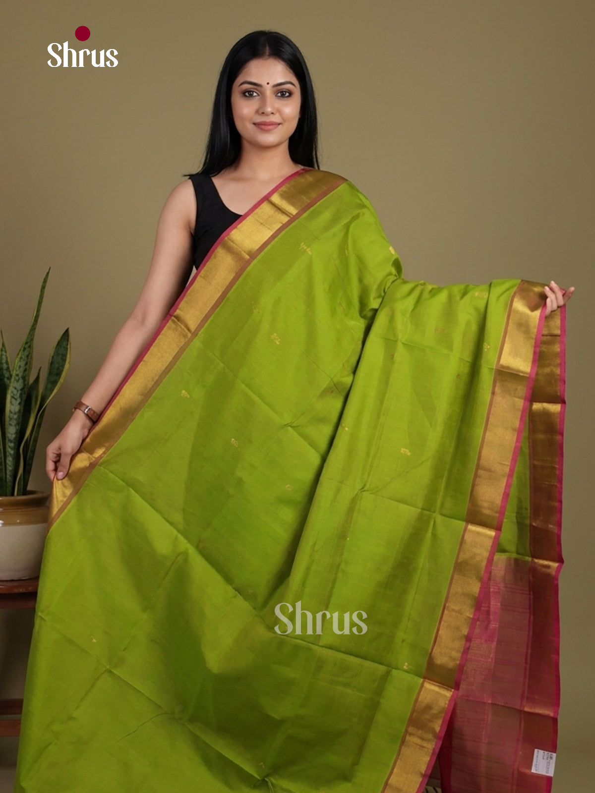 Silk Cotton Saree - EI01064