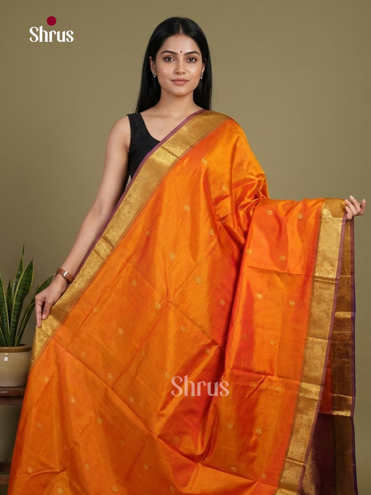 Silk Cotton Saree - EI01076