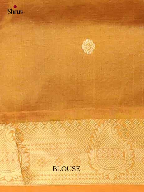 Silk Cotton Saree - EI01079