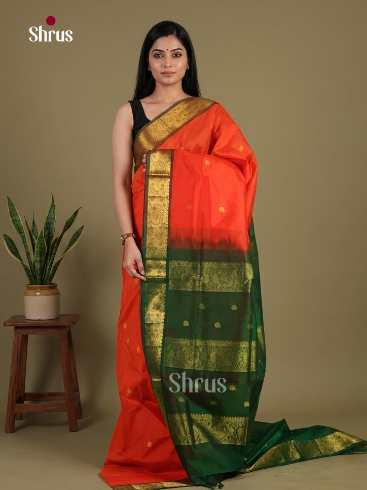 Silk Cotton Saree - EI01081