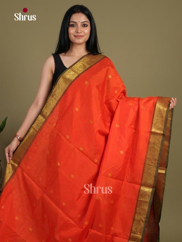 Silk Cotton Saree - EI01081