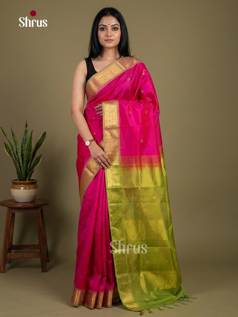 Silk Cotton Saree - EI01083
