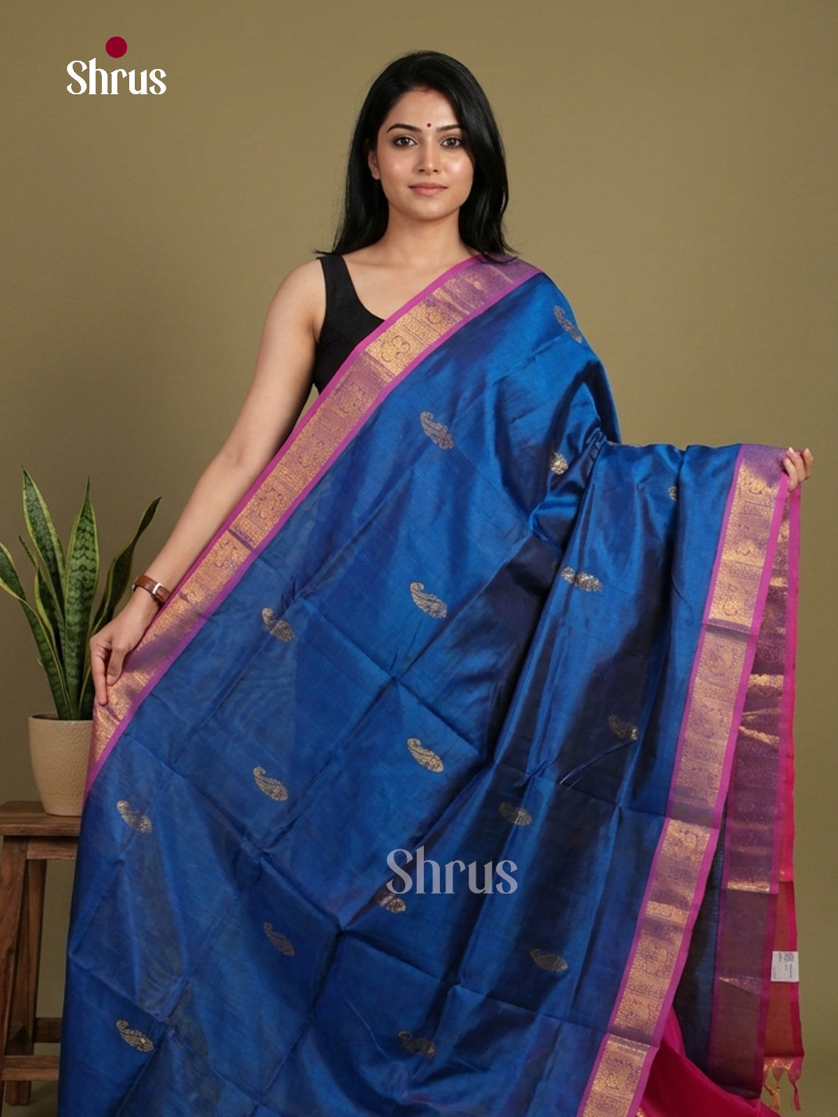 Silk Cotton Saree - EI01085
