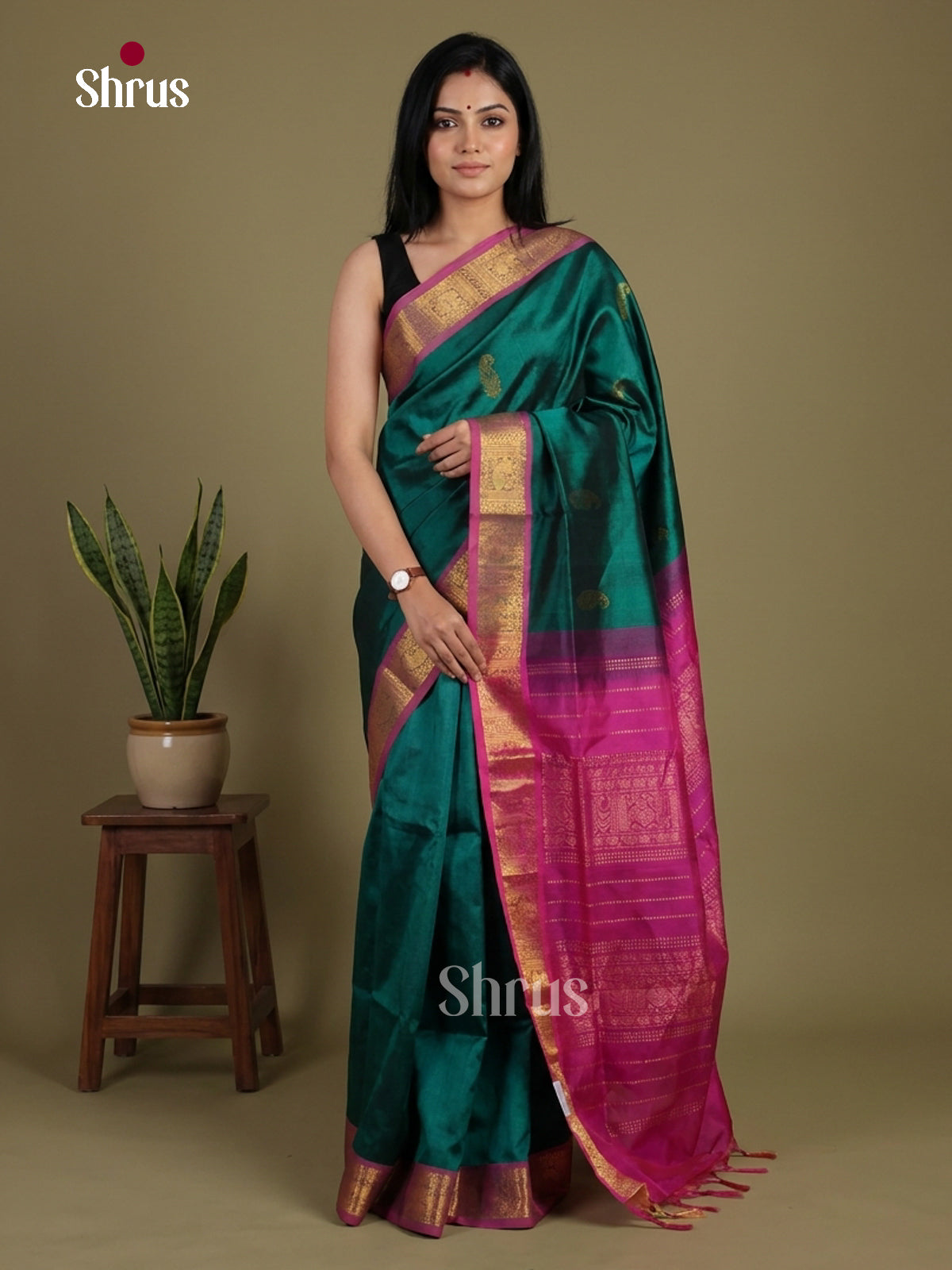 Silk Cotton Saree - EI01088