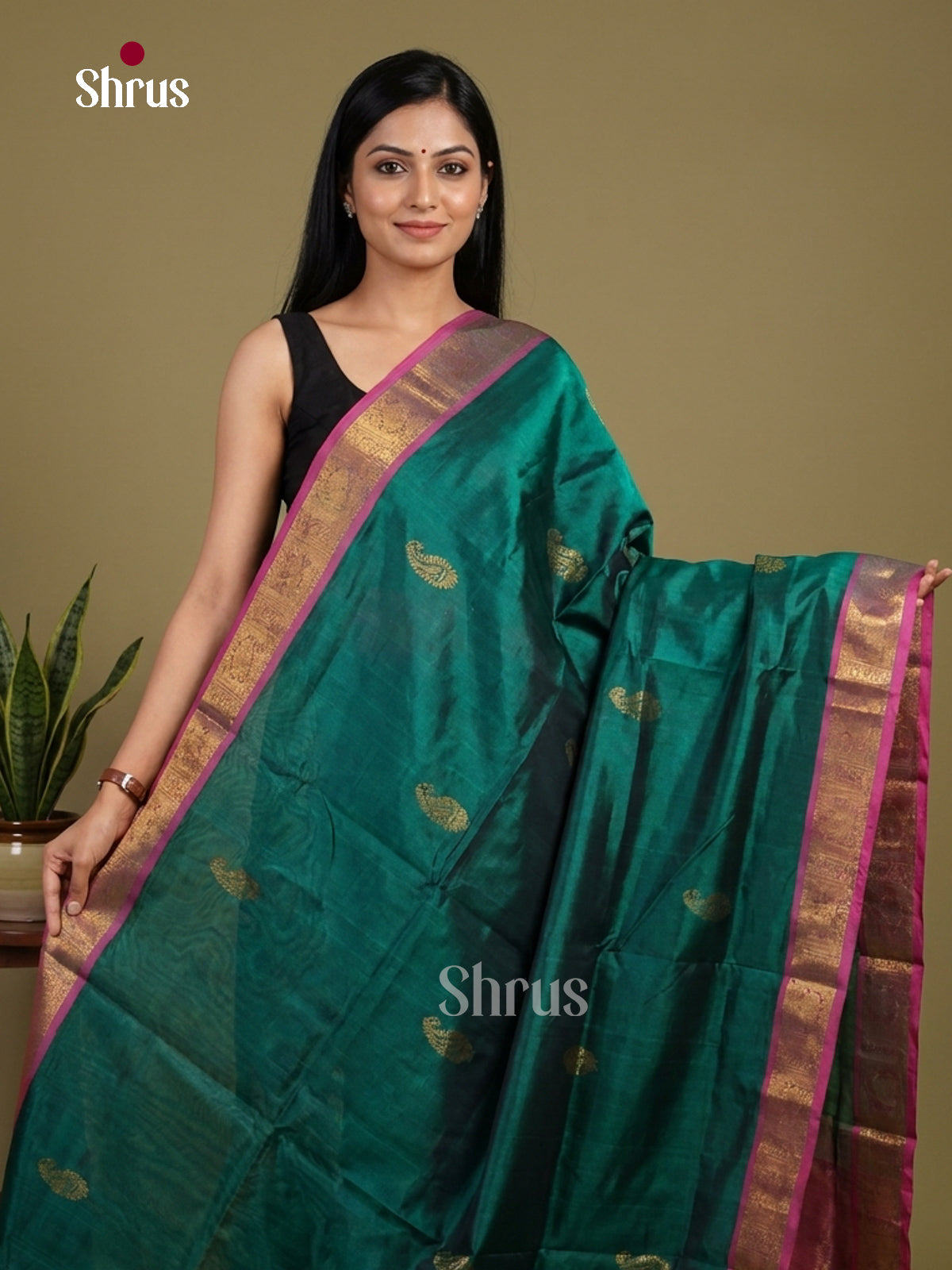 Silk Cotton Saree - EI01088