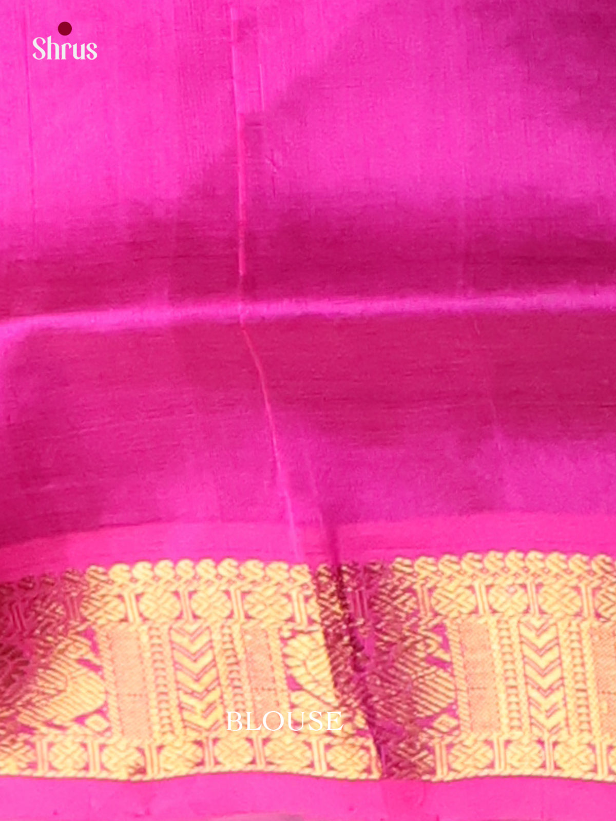 Silk Cotton Saree - EI01088