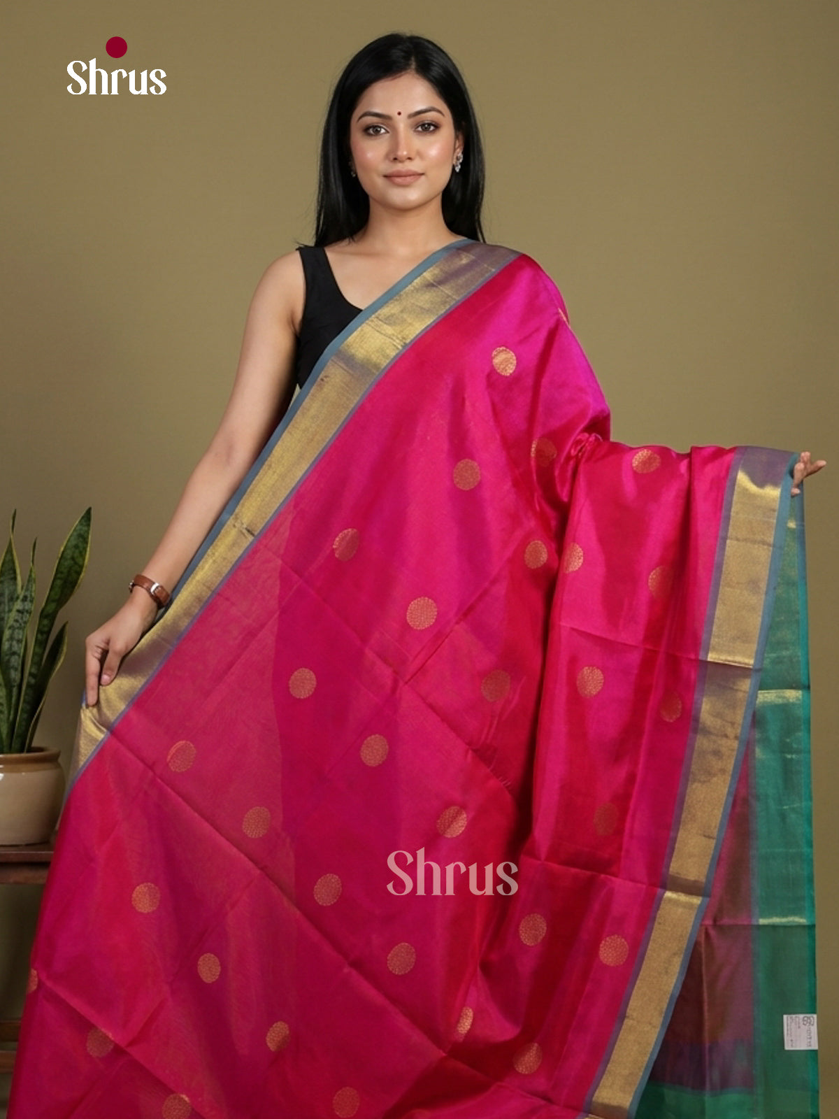 Silk Cotton Saree - EI01091