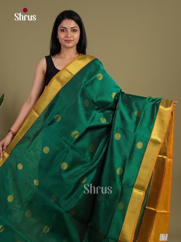 Silk Cotton Saree - EI01094