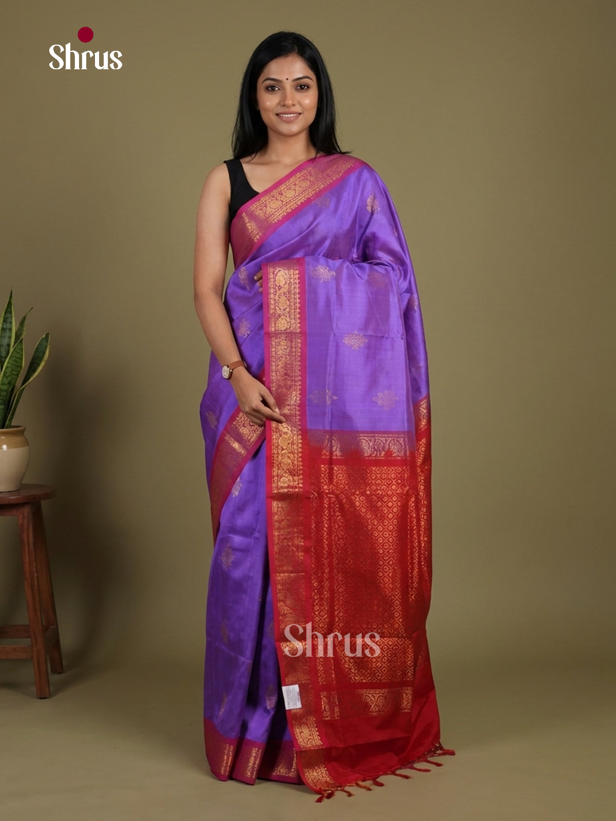 Silk Cotton Saree - EI01095