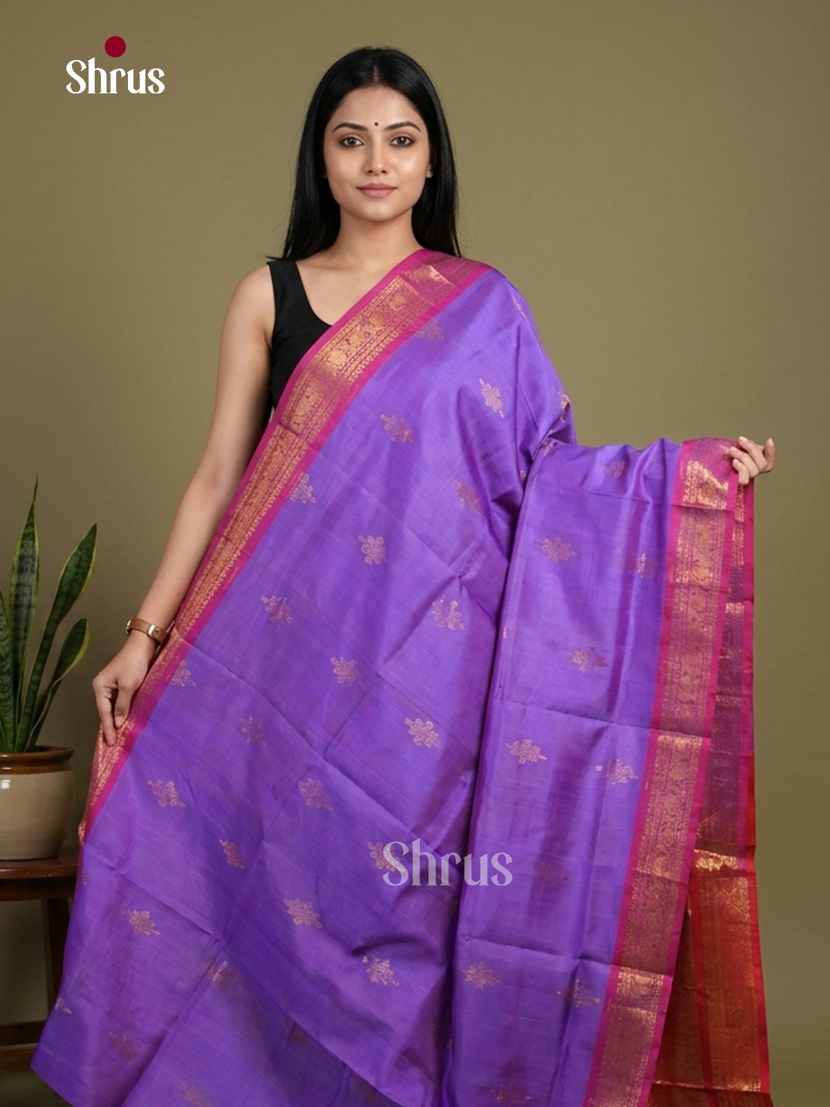 Silk Cotton Saree - EI01095