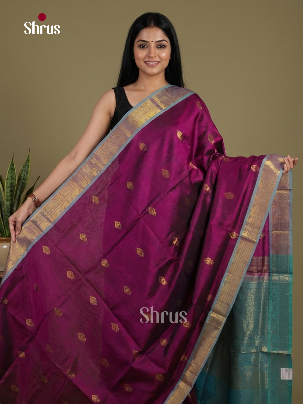 Silk Cotton Saree - EI01097