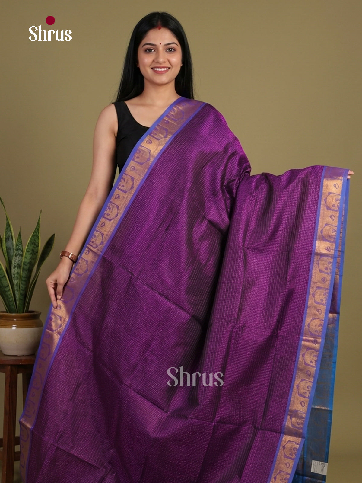 Silk Cotton Saree - EI01101