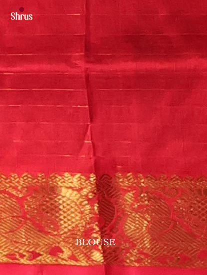 Silk Cotton Saree - EI01106