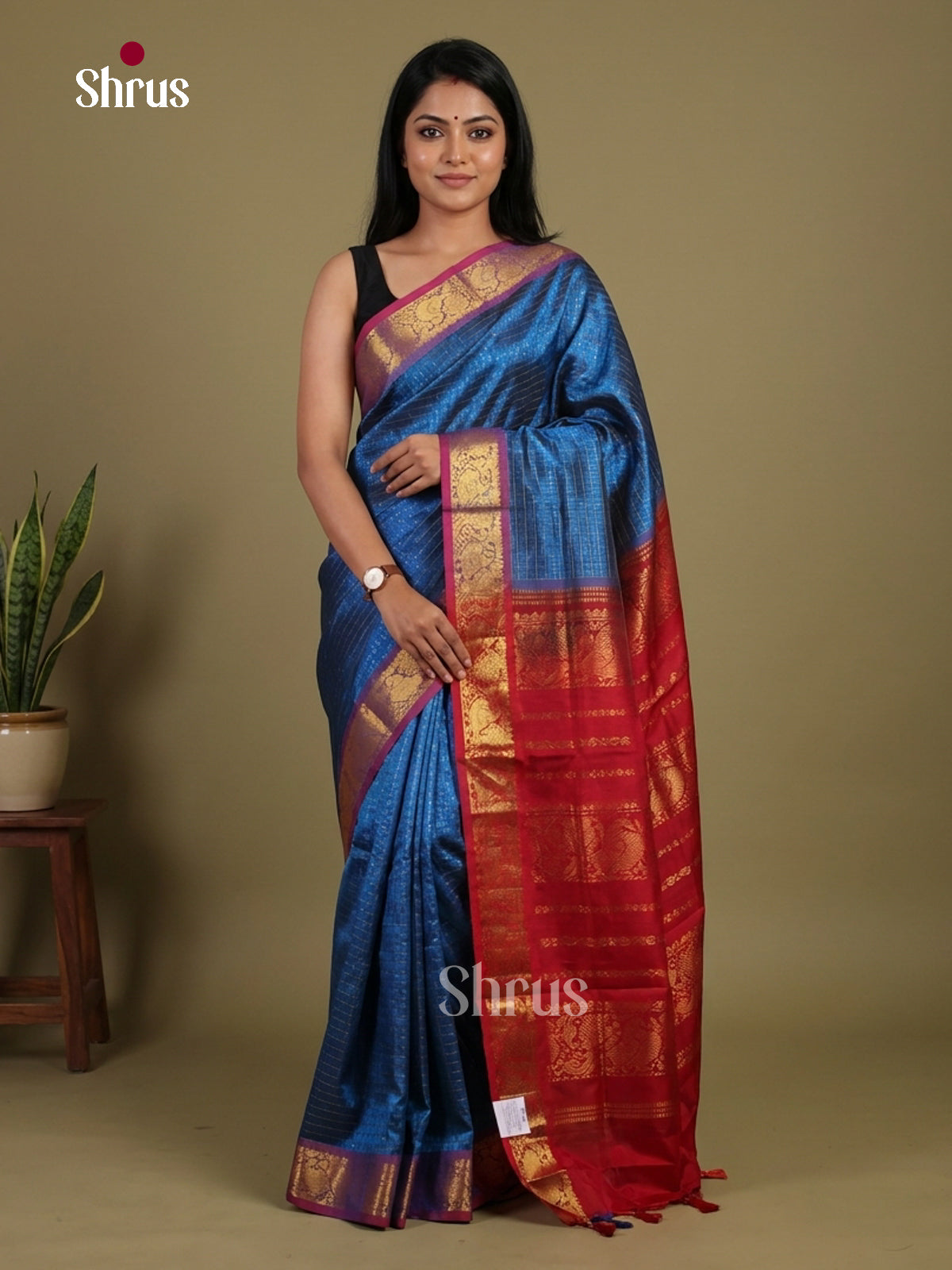 Silk Cotton Saree - EI01115