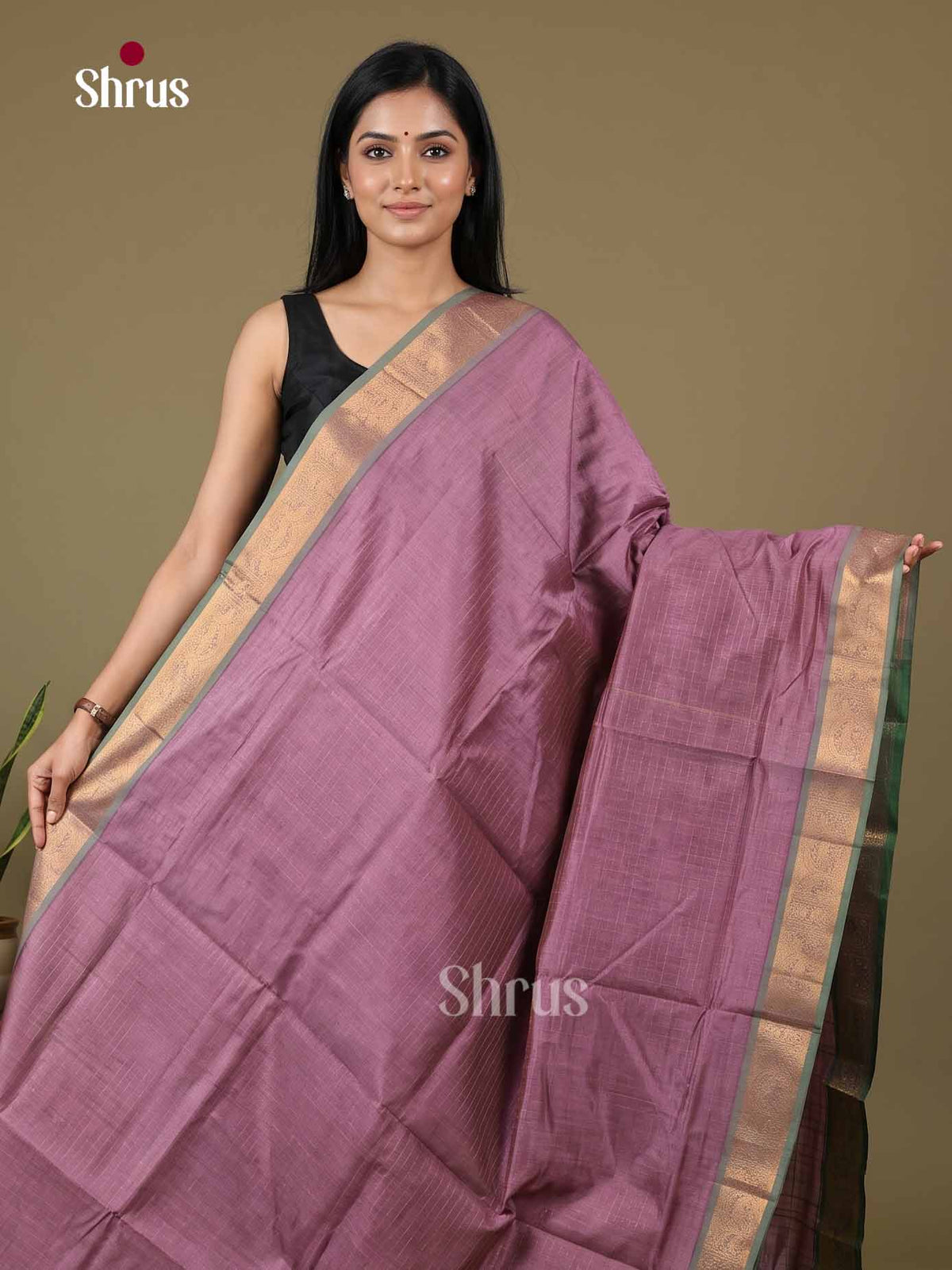 Silk Cotton Saree - EI01137