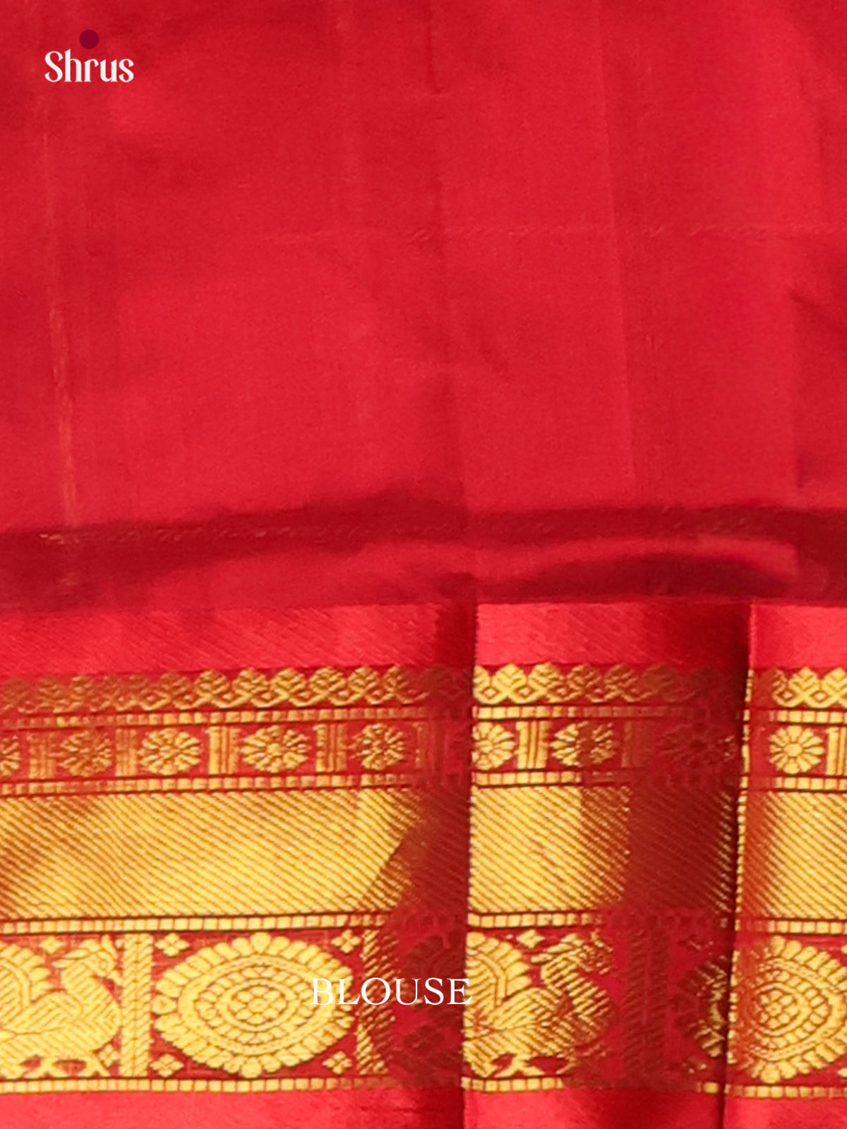 Silk Cotton Saree - EI01149