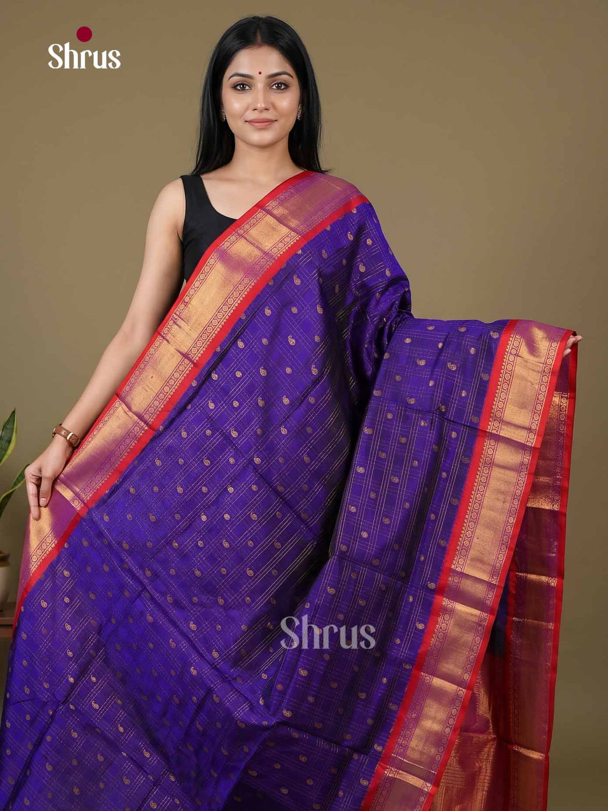Silk Cotton Saree - EI01151