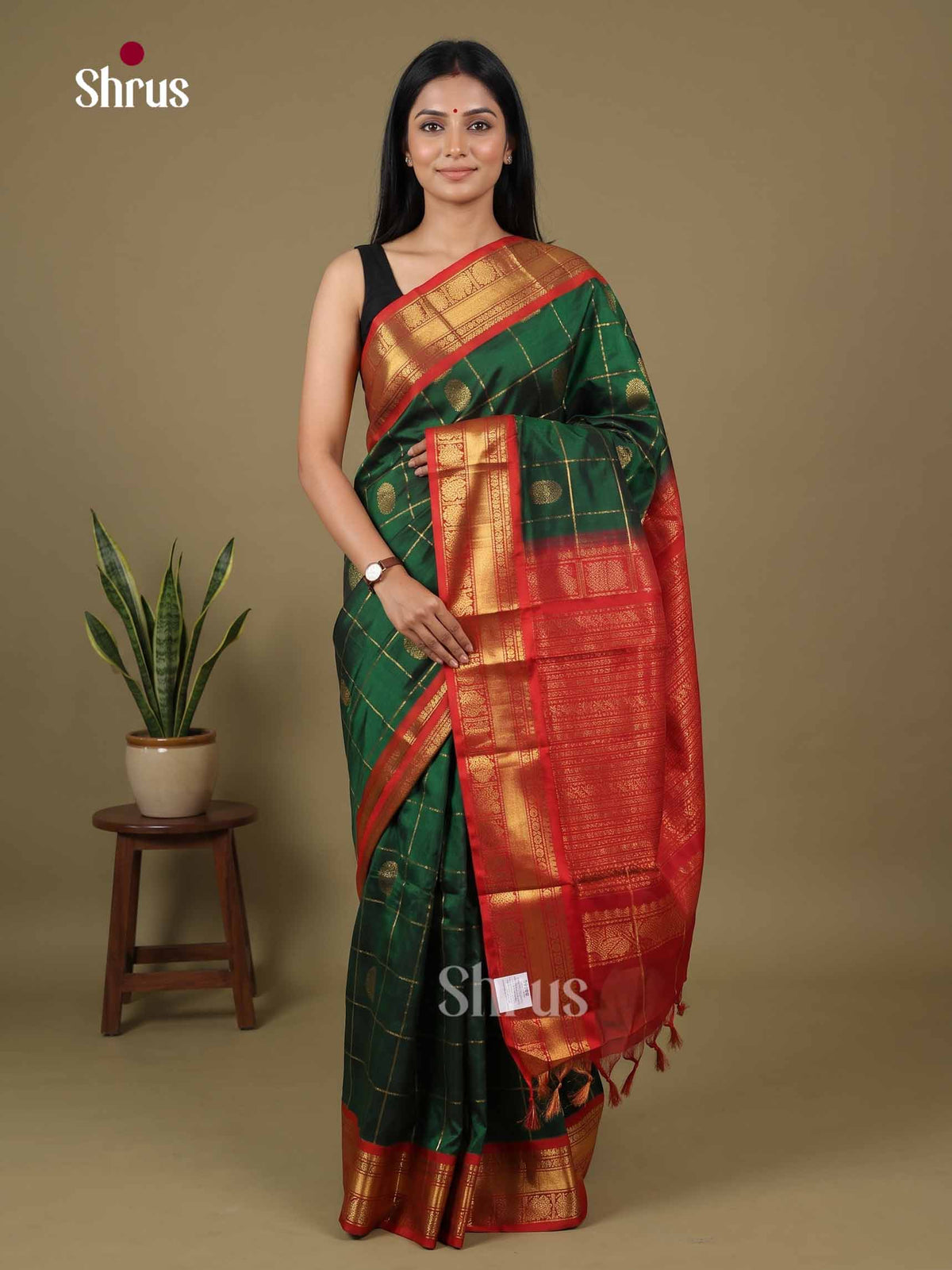 Silk Cotton Saree - EI01152