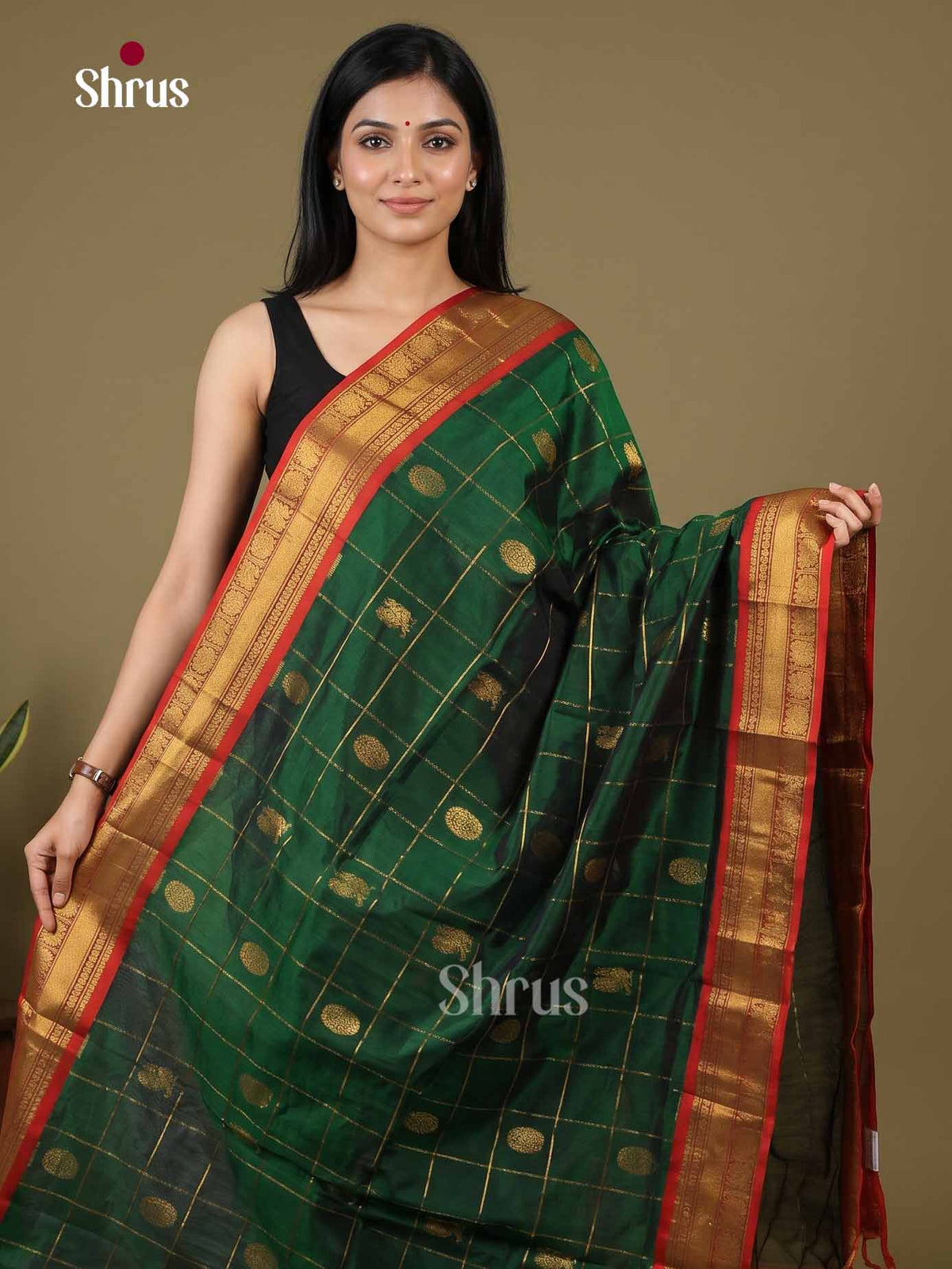 Silk Cotton Saree - EI01152