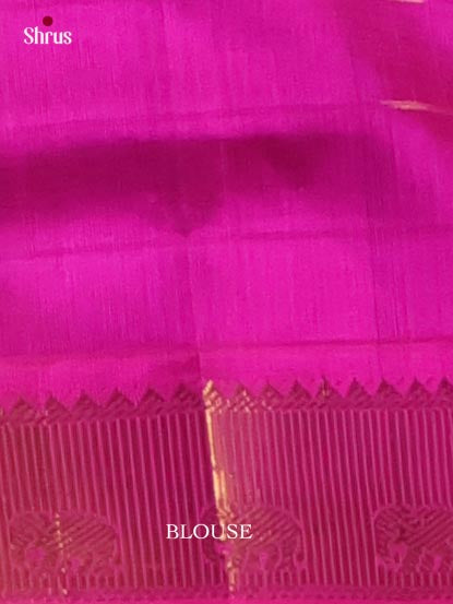 Silk Cotton Saree - EI01158