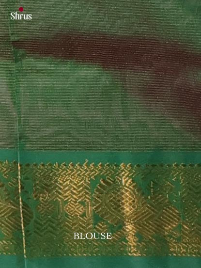 Silk Cotton Saree - EI01164