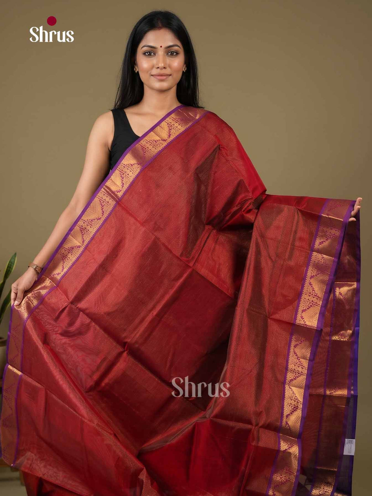 Silk Cotton Saree - EI01166
