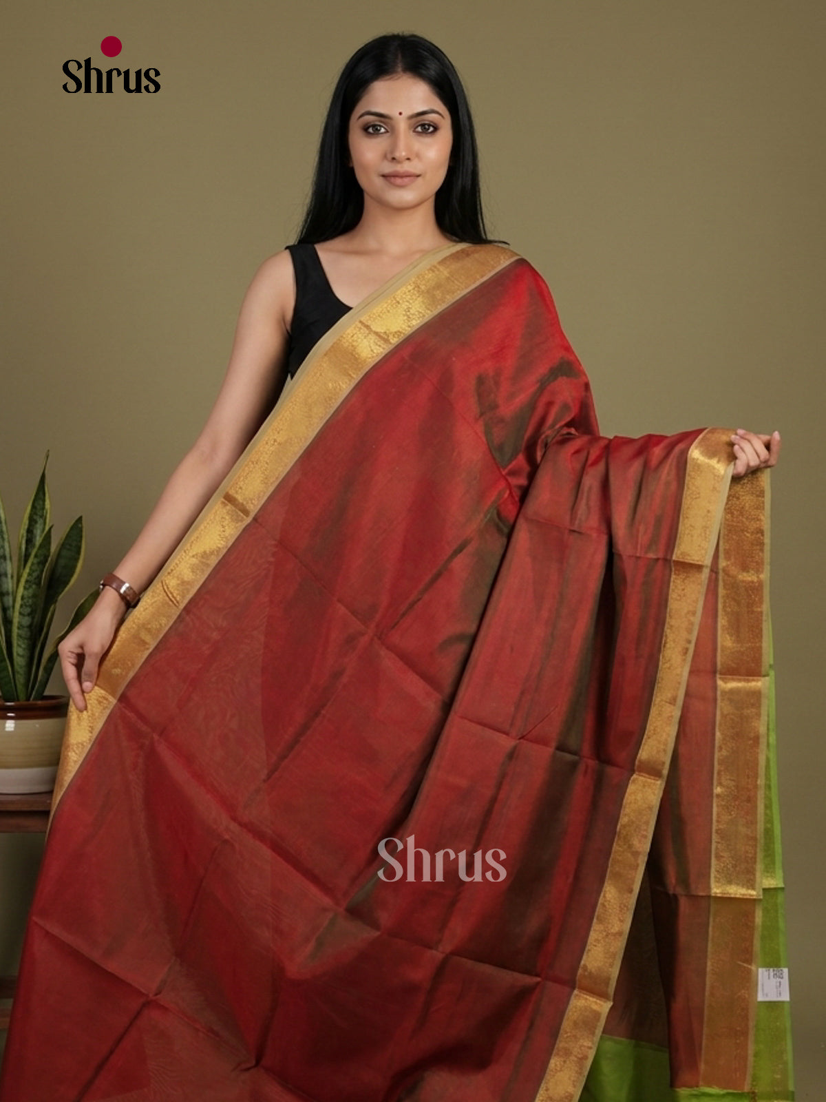 Silk Cotton Saree - EI01183