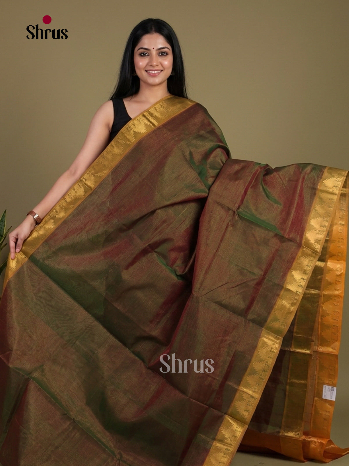 Silk Cotton Saree - EI01206