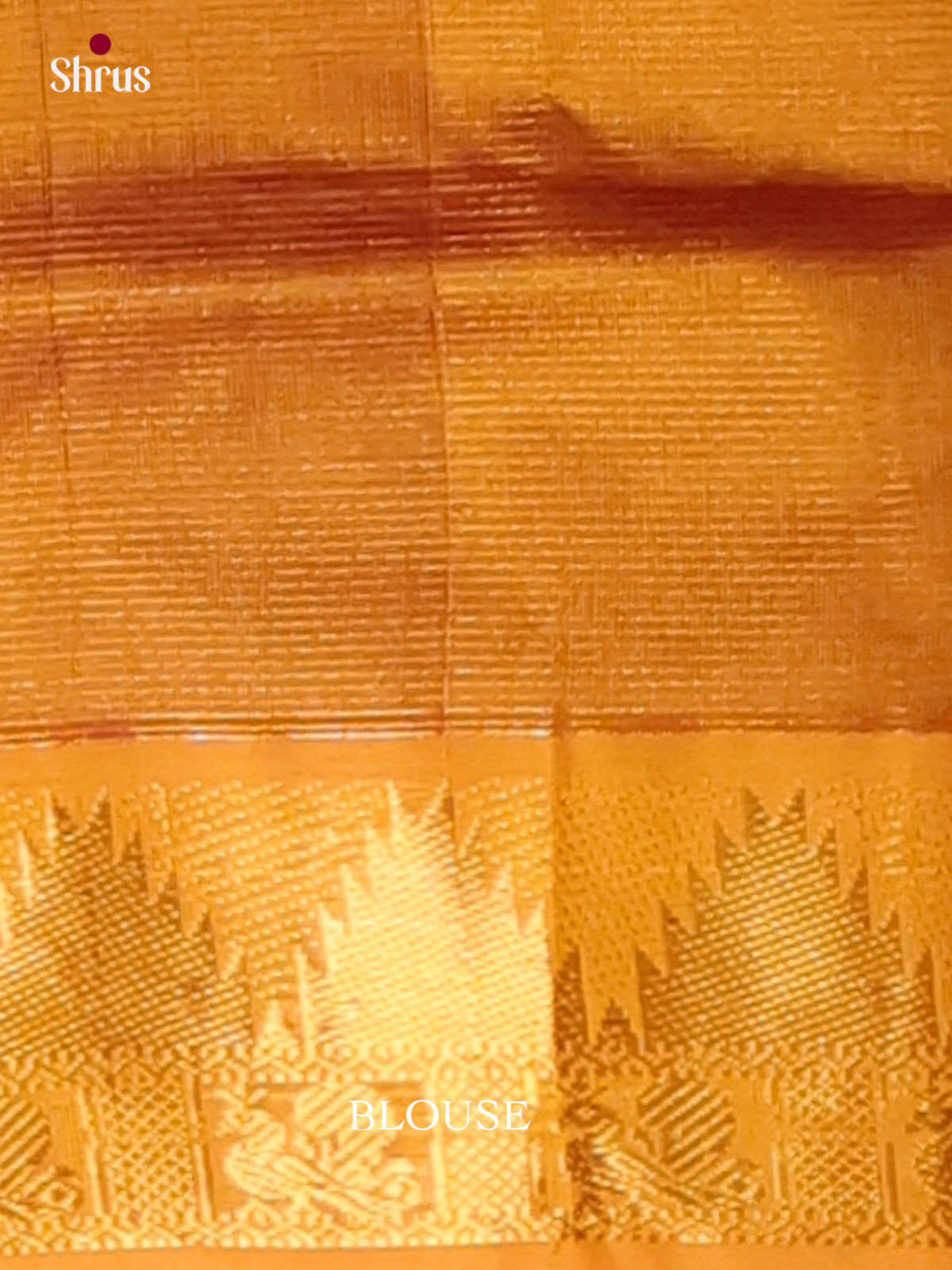 Silk Cotton Saree - EI01206
