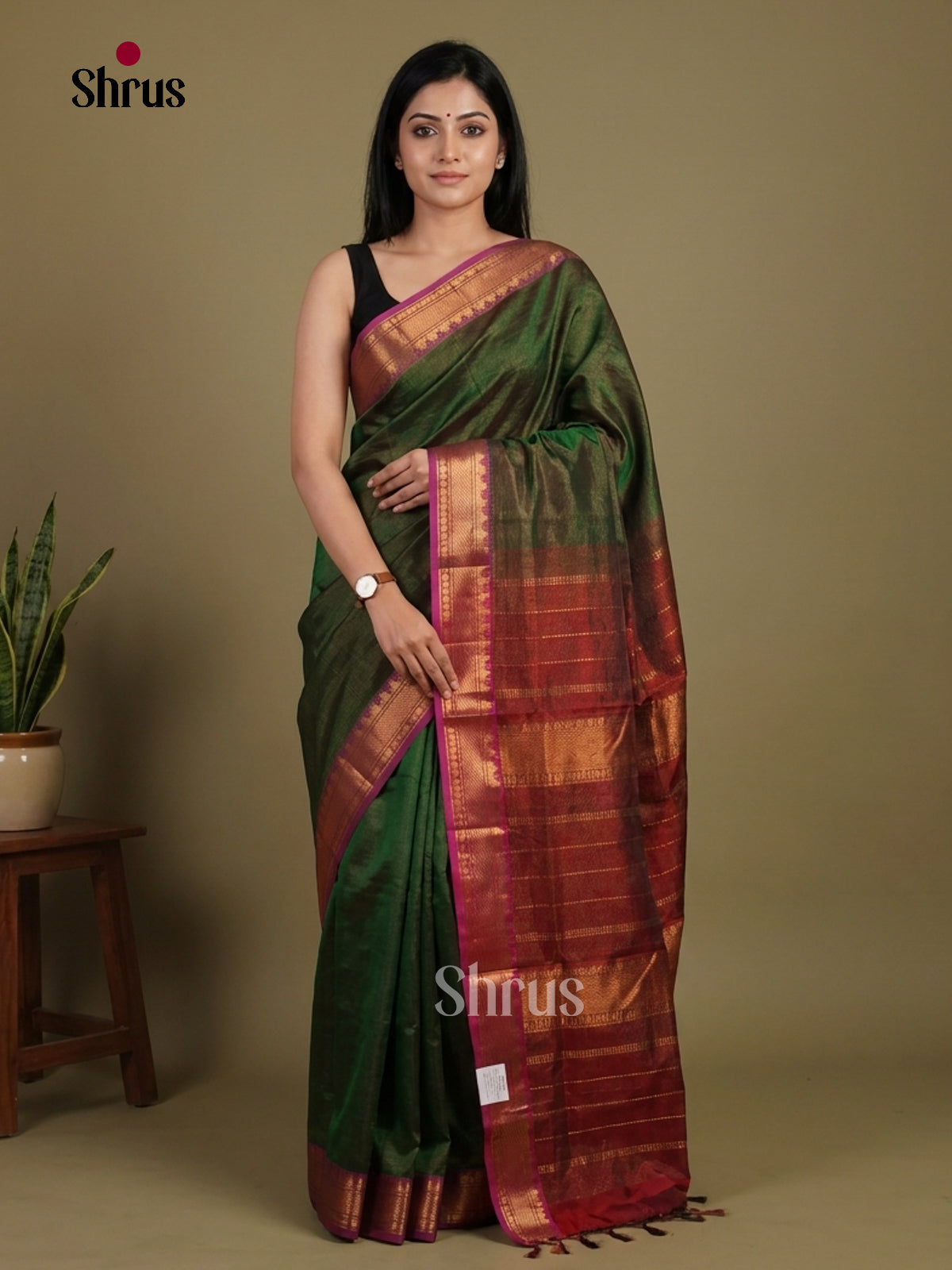 Silk Cotton Saree - EI01208