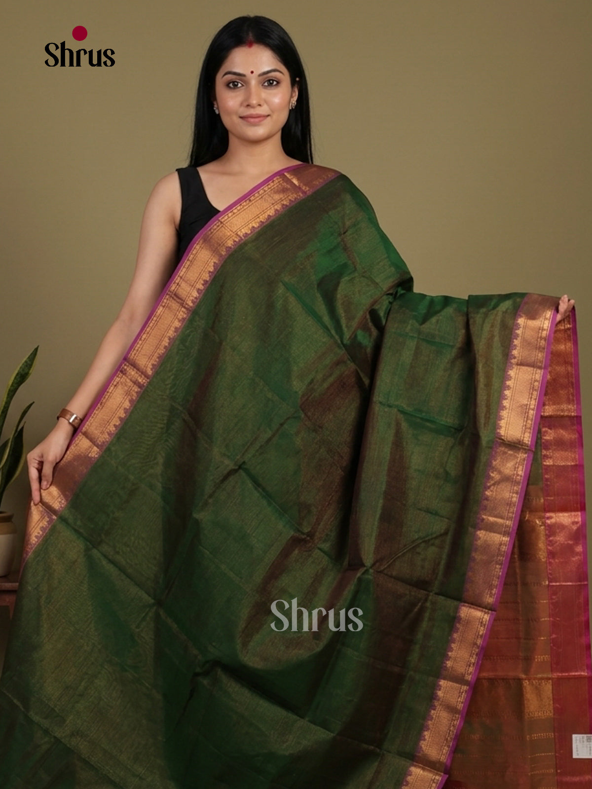 Silk Cotton Saree - EI01208