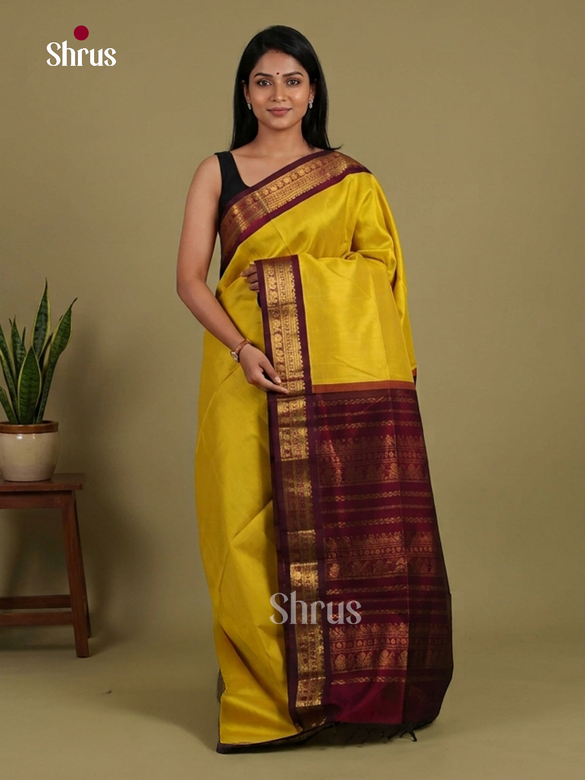 Silk Cotton Saree - EI01225