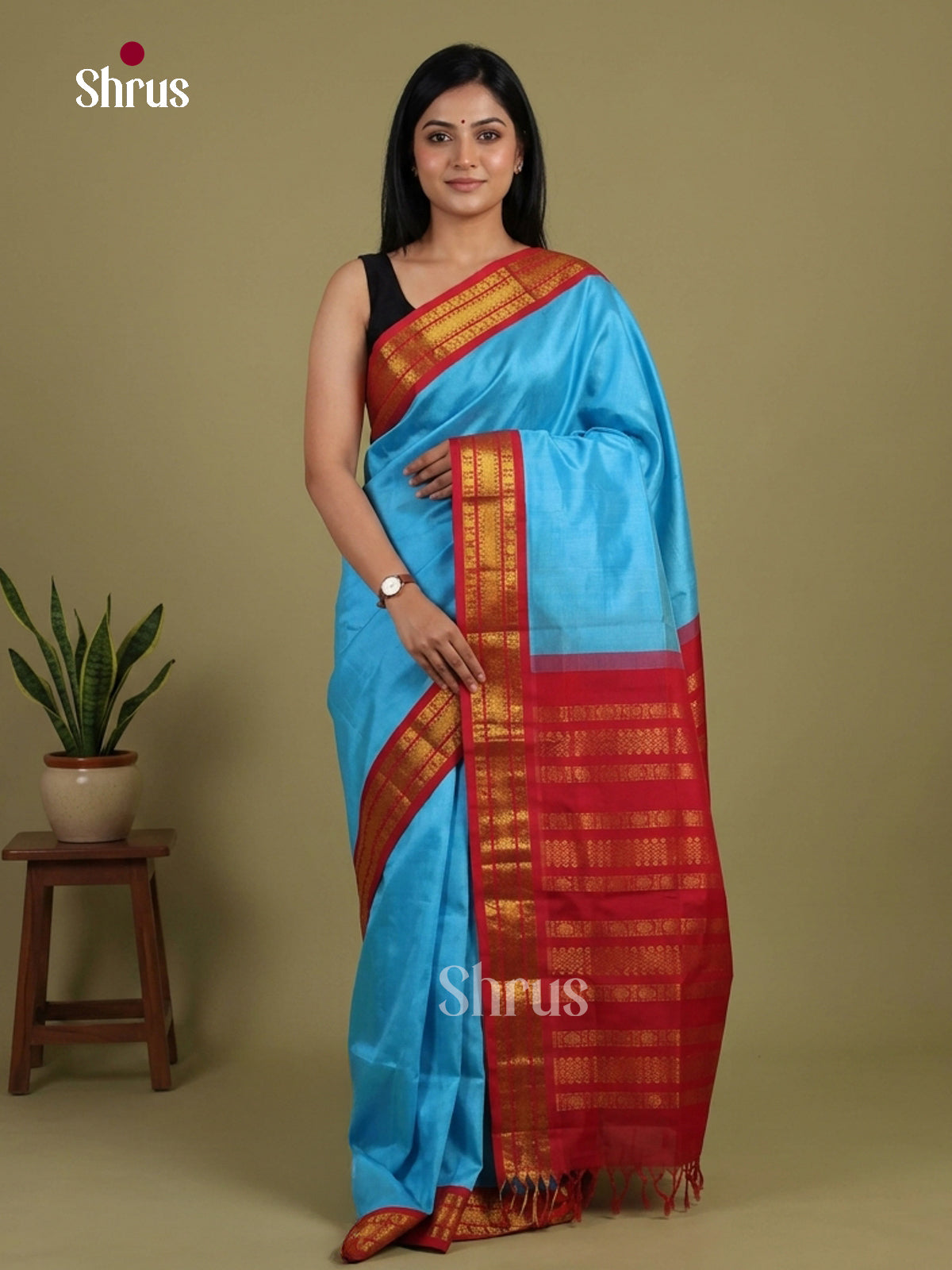 Silk Cotton Saree - EI01227
