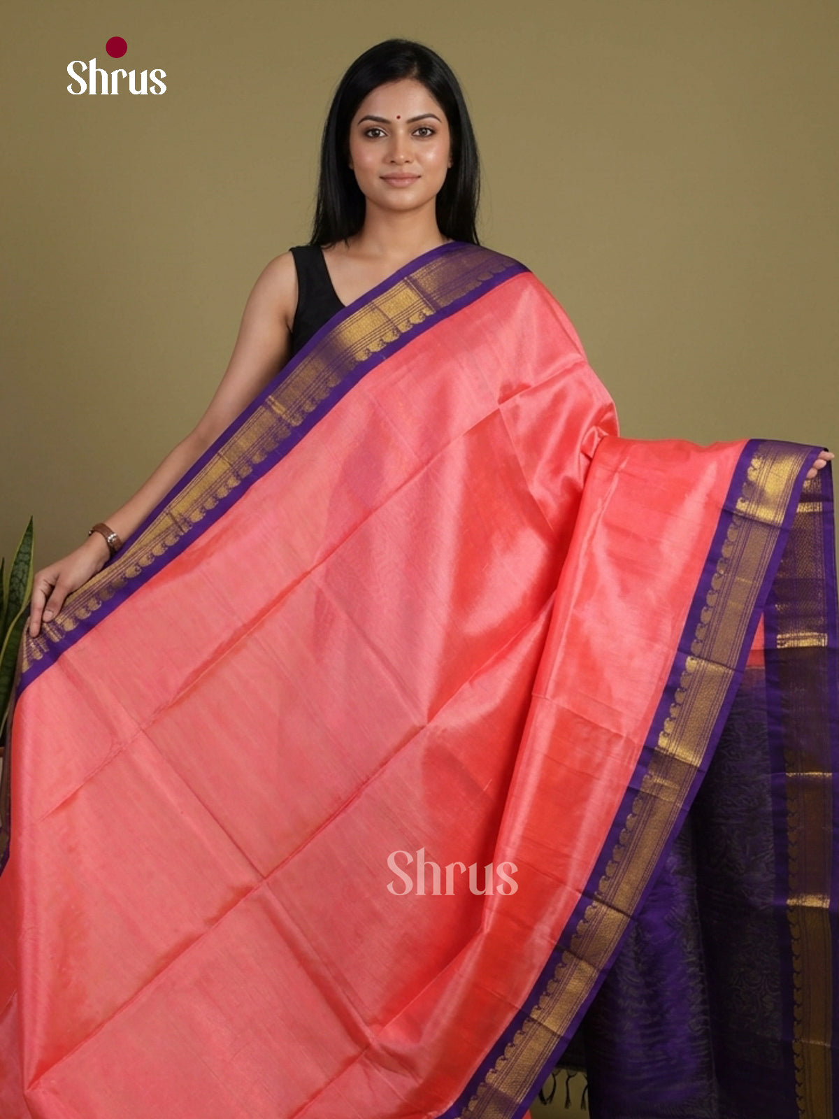 Silk Cotton Saree - EI01228