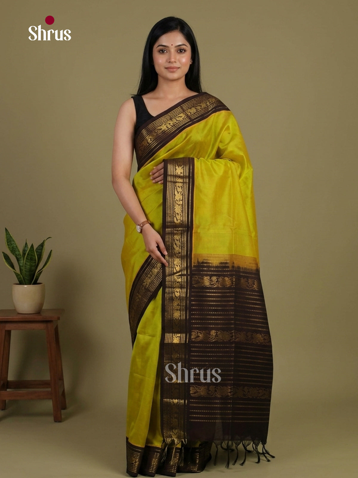 Silk Cotton Saree - EI01233