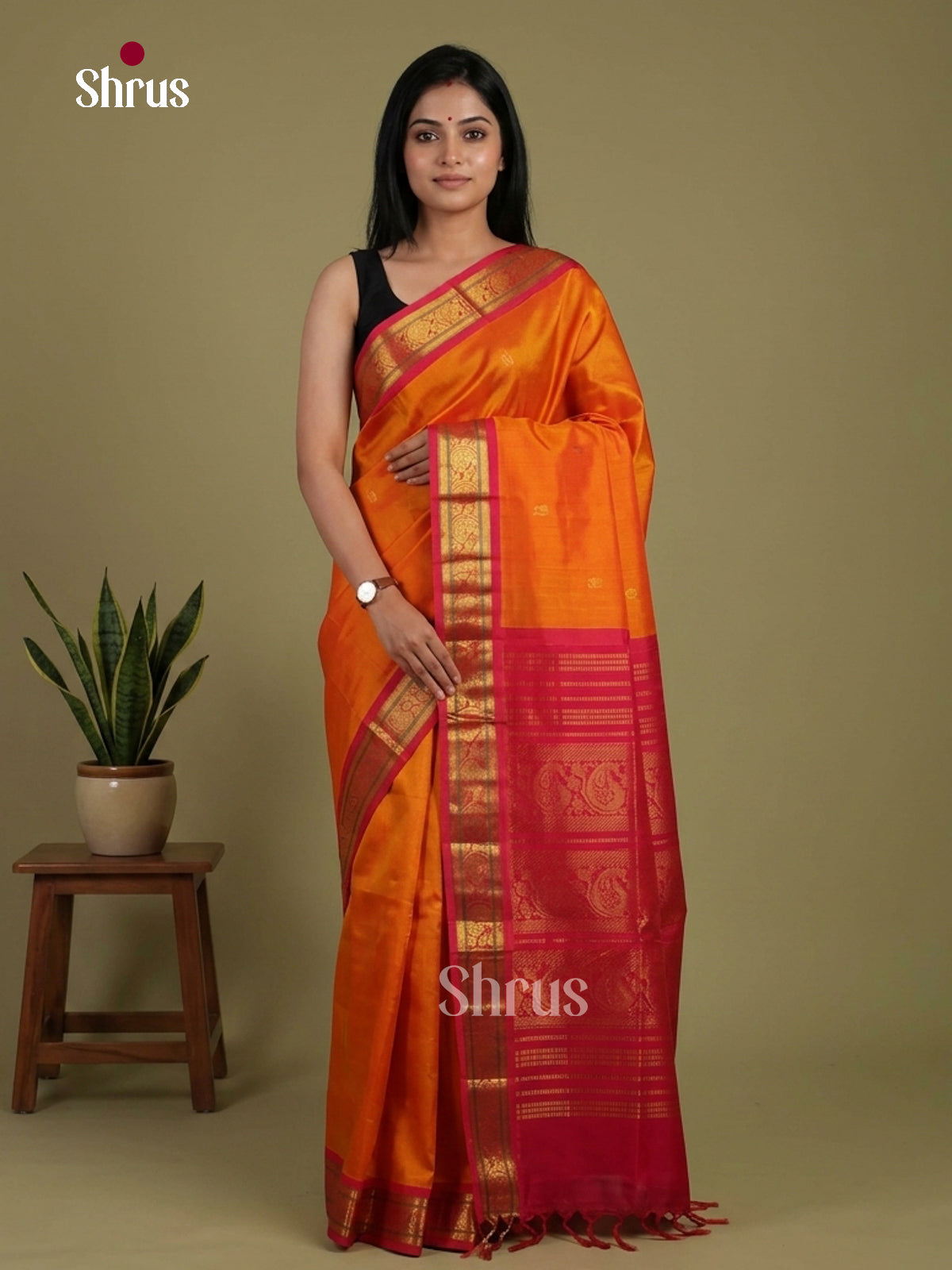 Silk Cotton Saree - EI01236