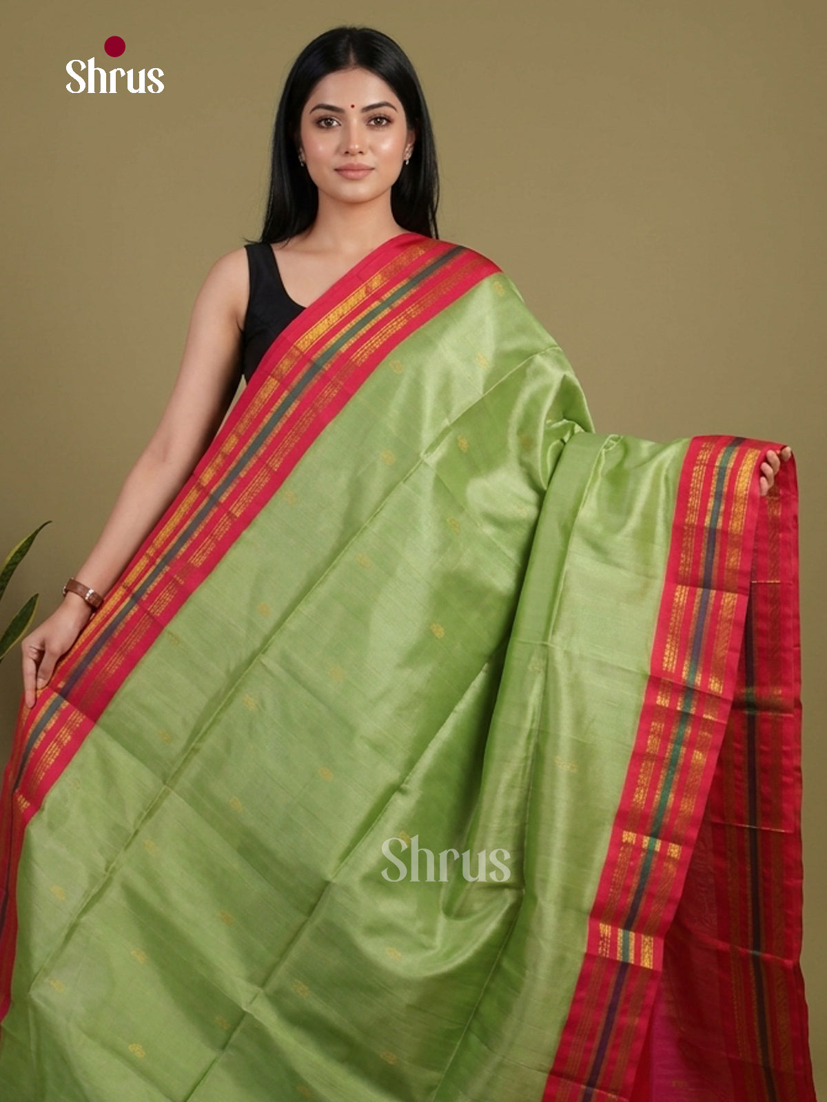 Silk Cotton Saree - EI01240