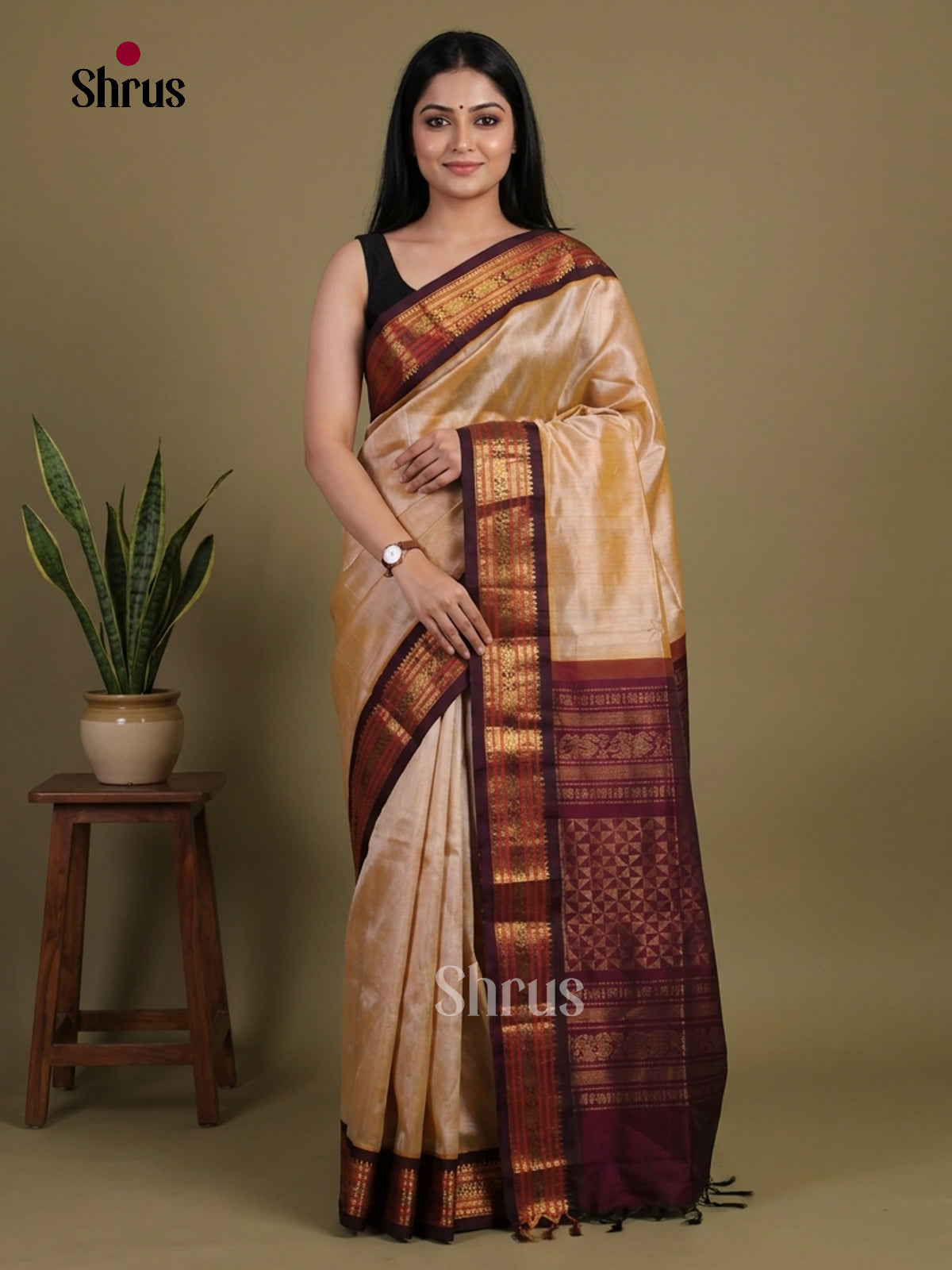 Silk Cotton Saree - EI01241