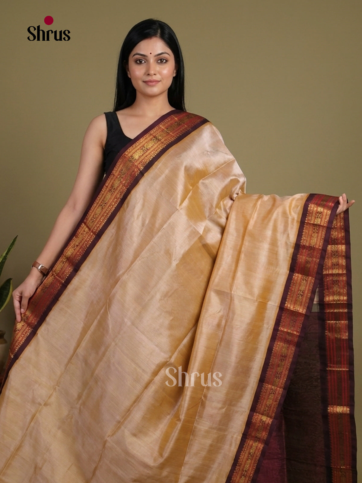 Silk Cotton Saree - EI01241